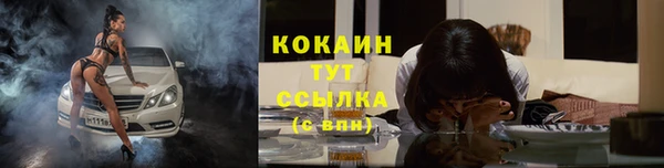 твердый Лиски