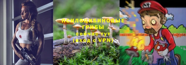 твердый Лиски